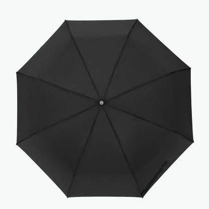 Parapluie Berlin
