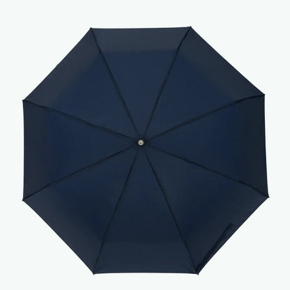 Parapluie Reykjavik